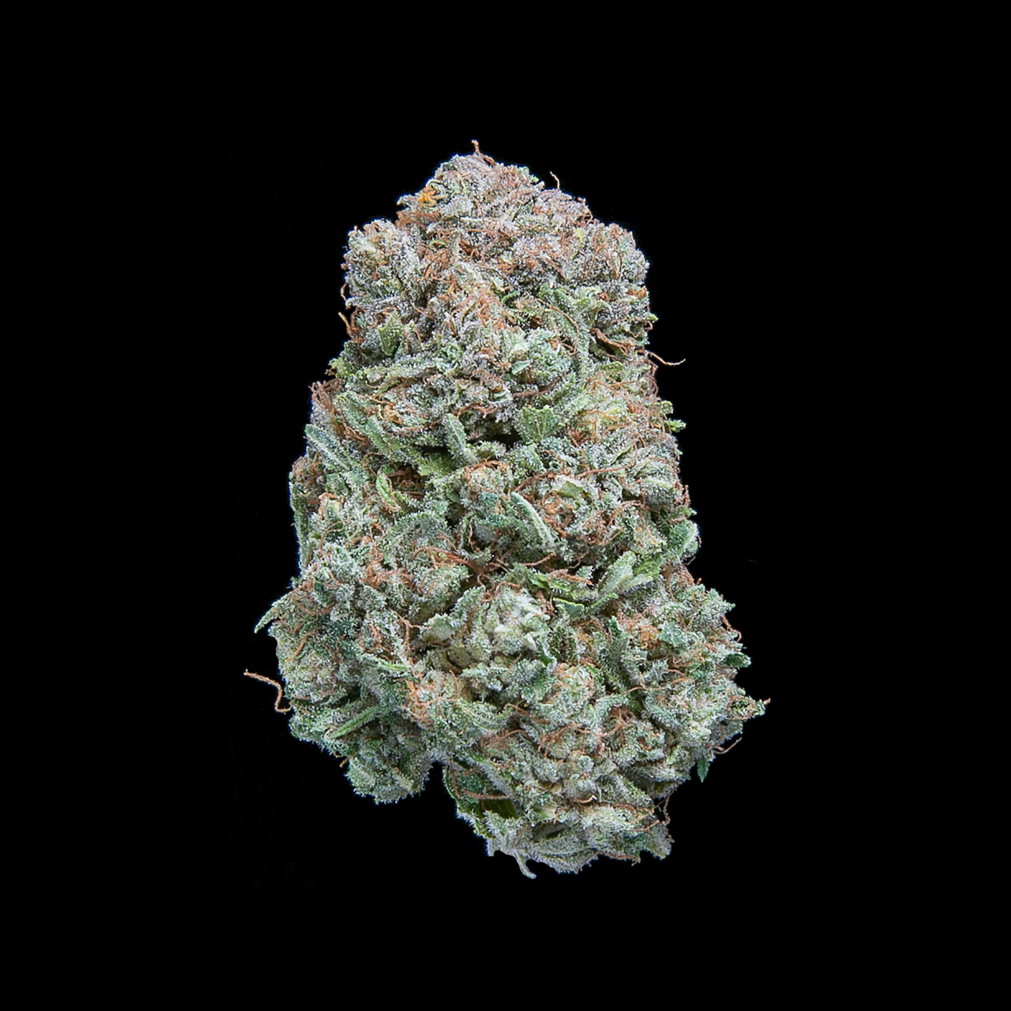 Charlotte's CBD – cannabis strain by Falcanna
