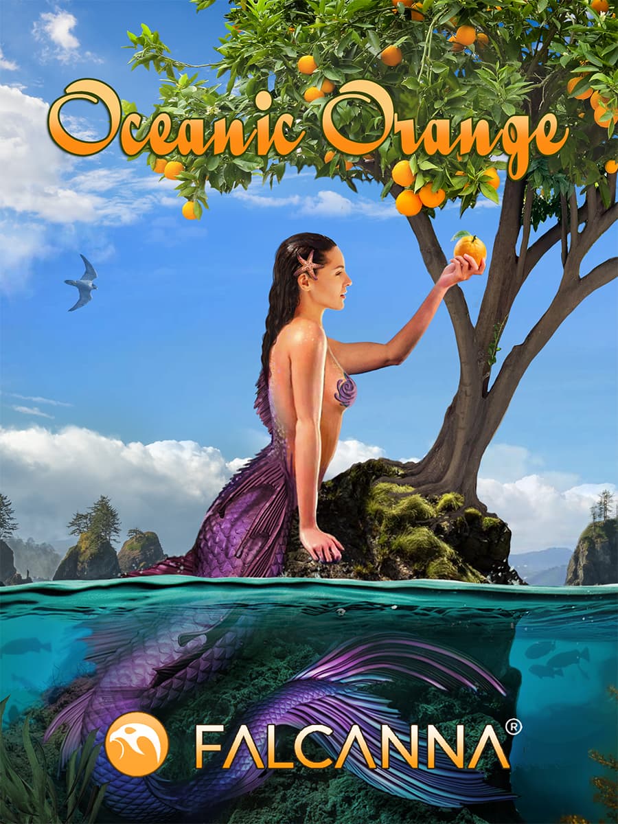 Oceanic Orange – flower