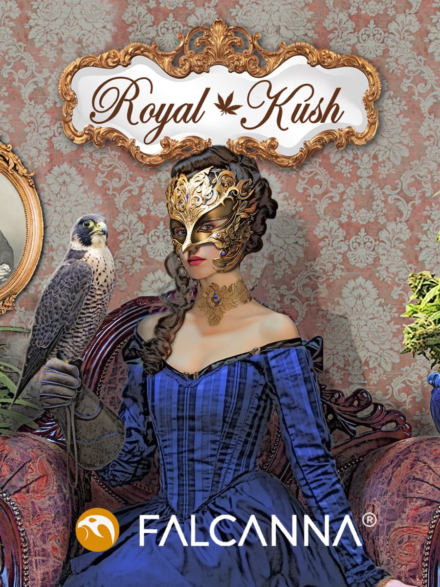 Royal Kush – flower