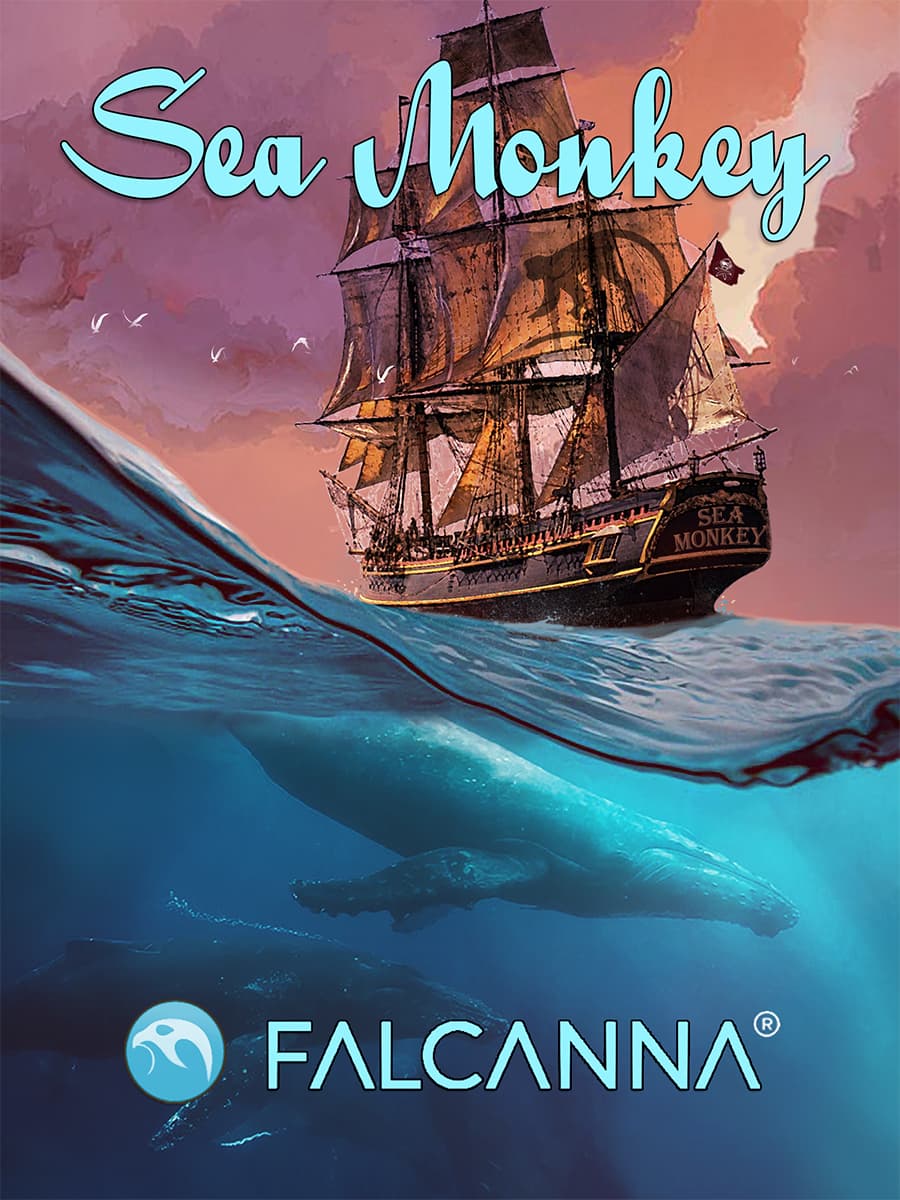 Sea Monkey – flower